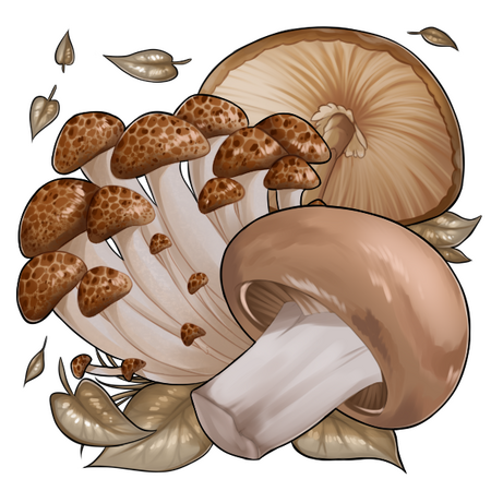 Mushrooms