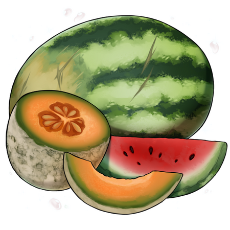 Melon